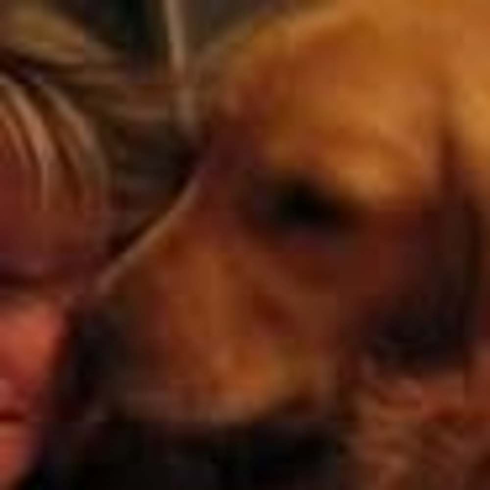 Meet your Posher, Sue